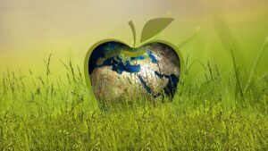 Leia mais sobre o artigo Os desafios de implementar a  sustentabilidade empresarial
