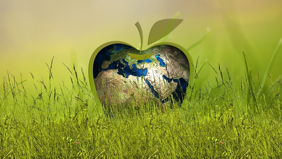 Leia mais sobre o artigo Os desafios de implementar a  sustentabilidade empresarial