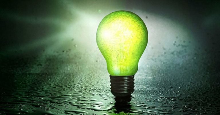 Empreendedorismo na economia verde