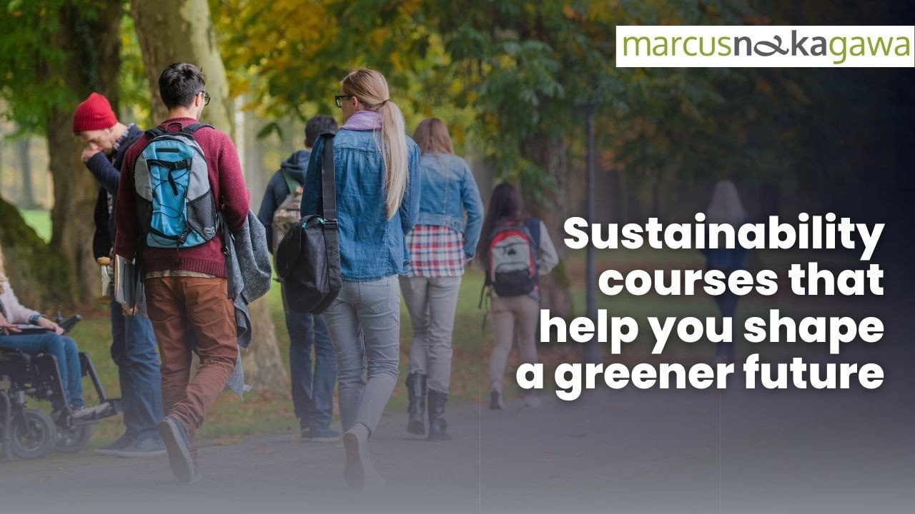 Leia mais sobre o artigo Education that drives Sustainability